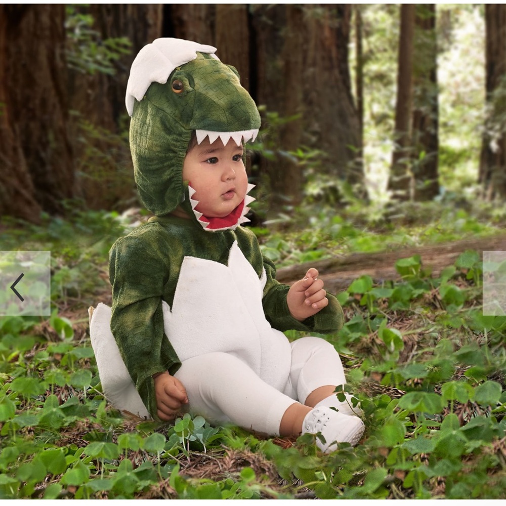 Pottery barn baby dinosaur costume 18 to 24 months